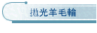 拋光羊毛輪